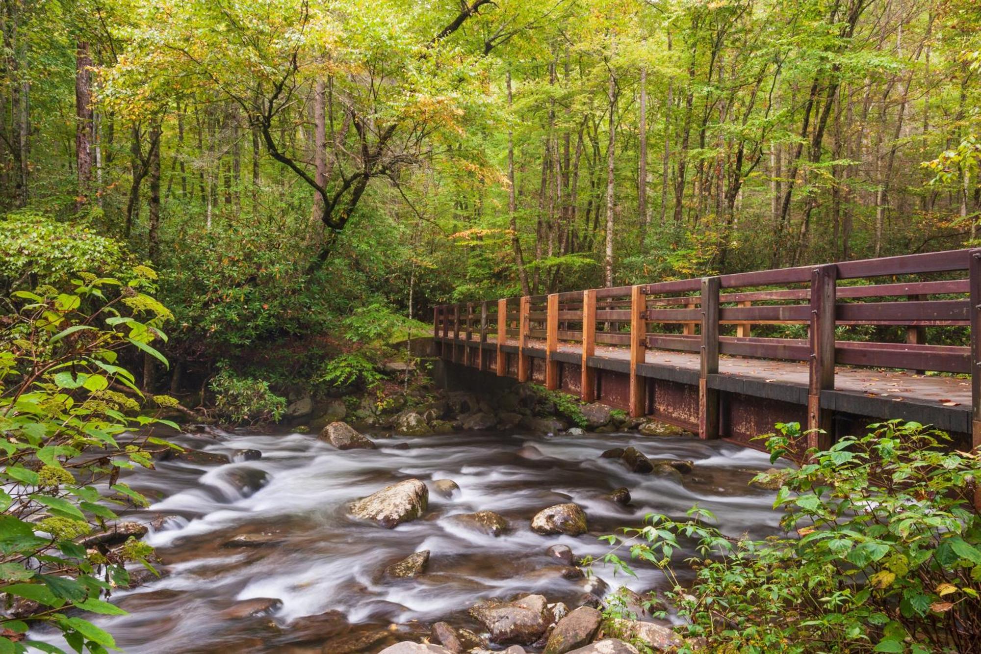 Endless View- Amazing Panoramic Mountain Views, Pool Access, Free Area Attraction Tickets Sevierville Exterior foto